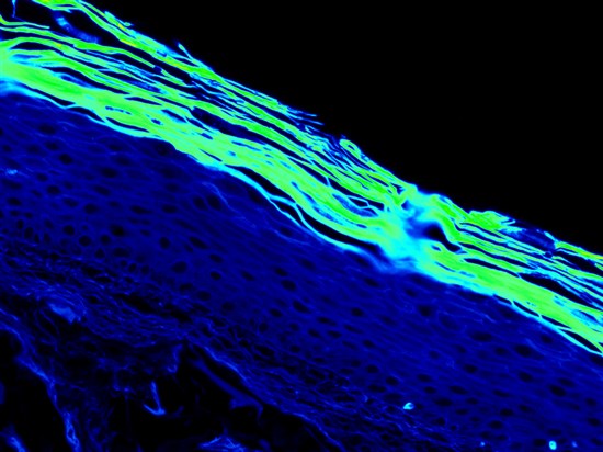 3D LONGEVISkin3D PIGMENTSkin