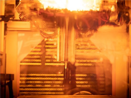 BLOC-PRINT3D WOUND HEALING