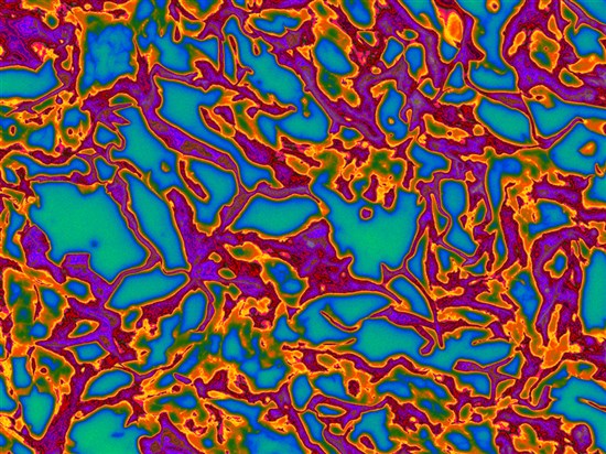 3D LONGEVISkin3D PIGMENTSkin