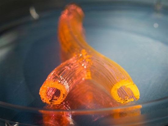 BLOC-PRINT3D WOUND HEALING