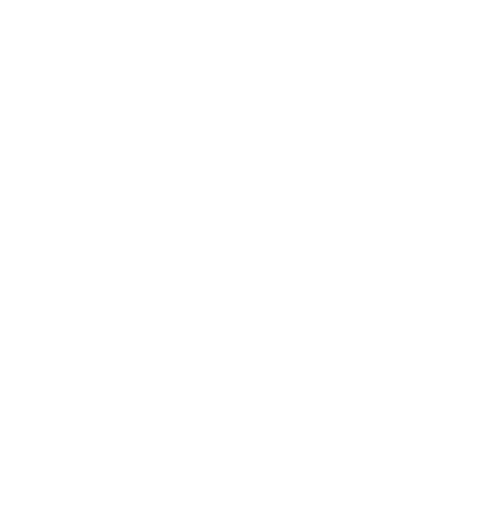 LABSKIN